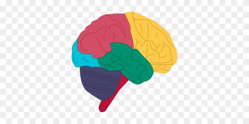 Intelligent People Possess Unique Traits That Are Generally - Intelligent People Possess Unique Traits That Are Generally #1514763
