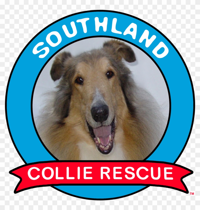 Clip Art Black And White Stock Southland Collie Rescue - Clip Art Black And White Stock Southland Collie Rescue #1514852