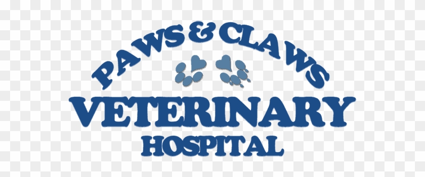 Hospital Clip Art Veterinarian Fl Tallahassee Paws - Hospital Clip Art Veterinarian Fl Tallahassee Paws #1515101