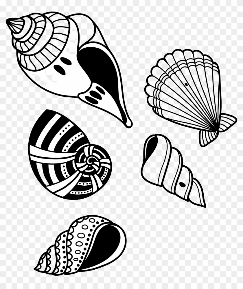 Seashell Shell Transprent Png Free Download Monochrome - Seashell Shell Transprent Png Free Download Monochrome #1515226