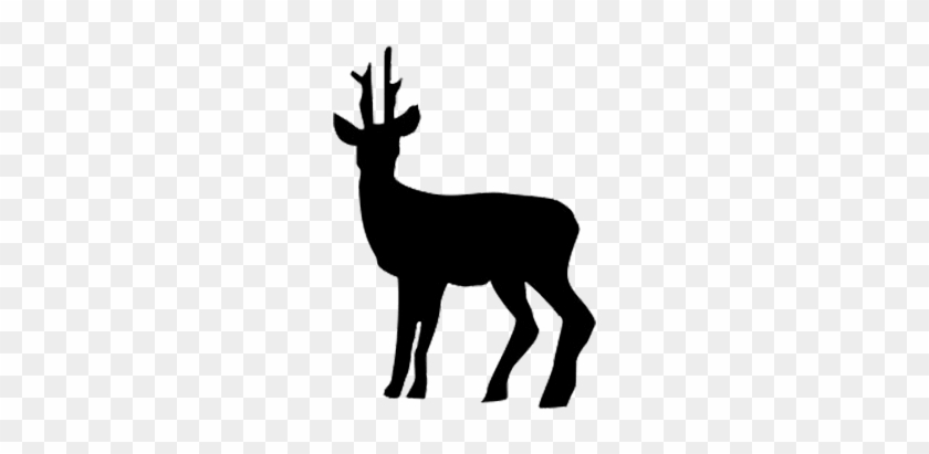 Deer Clipart Deer Meat - Deer Clipart Deer Meat #1515380