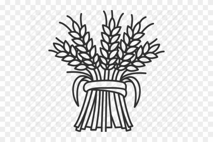 Drawn Wheat Wheat Plant - Drawn Wheat Wheat Plant #1515708
