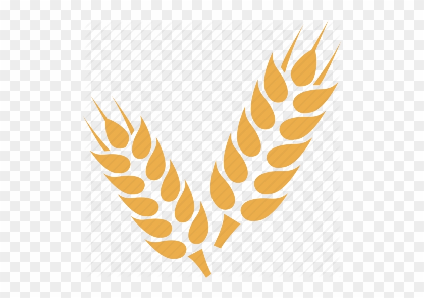 Grain Clipart Wheat Crop - Grain Clipart Wheat Crop #1515731