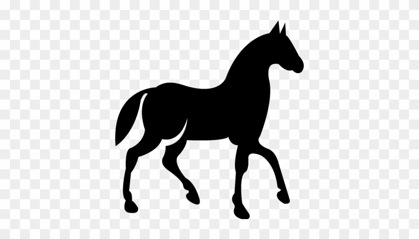 Black Race Horse On Walking Pose Side View Vector - Black Race Horse On Walking Pose Side View Vector #1515909