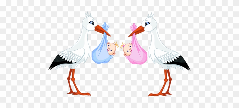 Png Download Twins Clipart Stork - Png Download Twins Clipart Stork #1515971