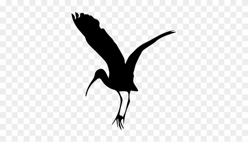 Bird Stork Shape Vector - Bird Stork Shape Vector #1515983