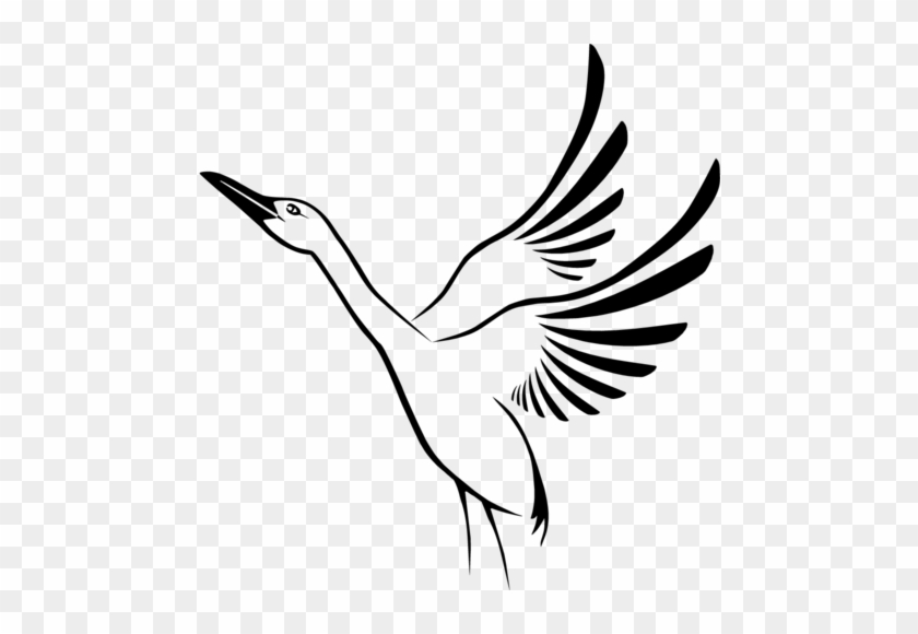 Stork Press - Stork Press #1515984