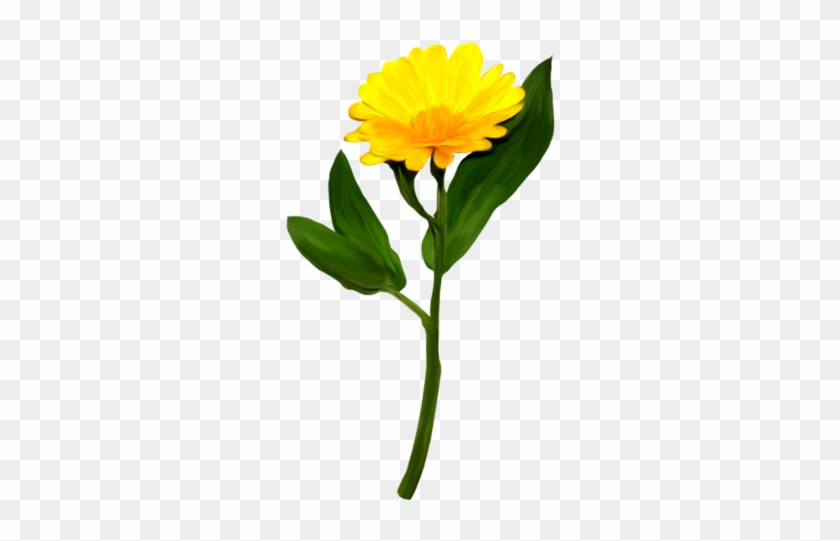 Pin Tillagd Av Helena Jansson På Clipart Flowers - Pin Tillagd Av Helena Jansson På Clipart Flowers #1516027