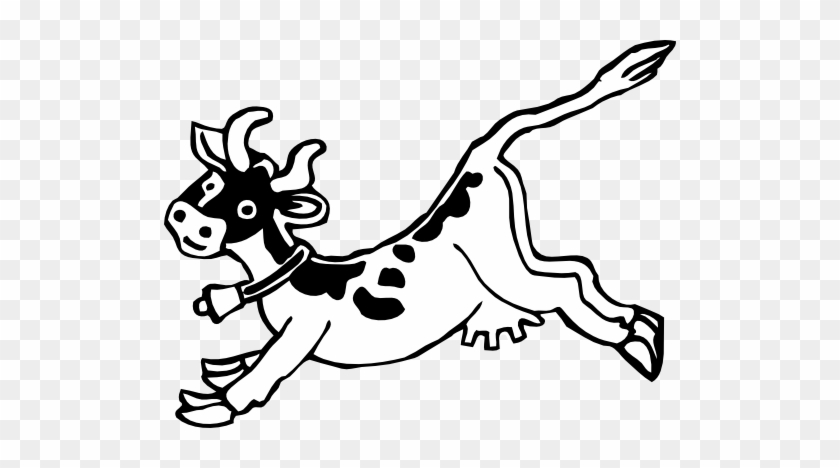 Jumping Cow - Jumping Cow #1516193