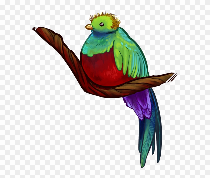 Quetzal Clipart Transparent - Quetzal Clipart Transparent #1516497