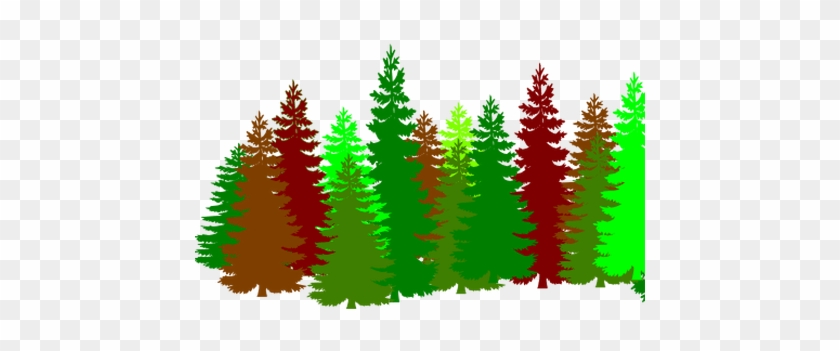 Image Royalty Free Library Pine Tree Line Vector - Image Royalty Free Library Pine Tree Line Vector #1516772