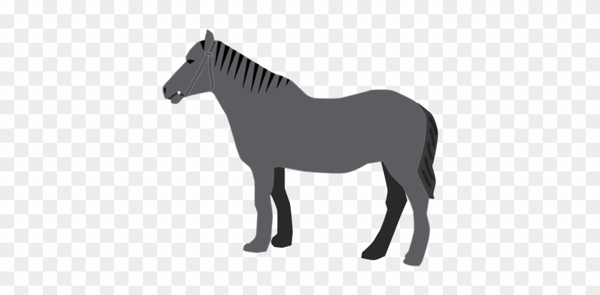 American Quarter Horse Gray American Saddlebred Download - American Quarter Horse Gray American Saddlebred Download #1516809