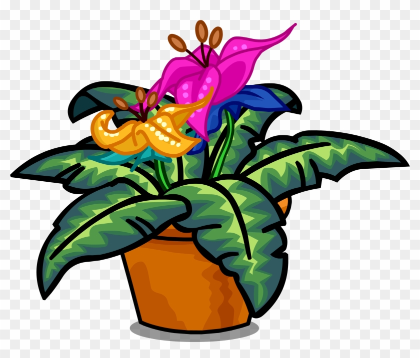 Growing Plants Club Penguin Wiki Fandom Powered - Growing Plants Club Penguin Wiki Fandom Powered #1516895