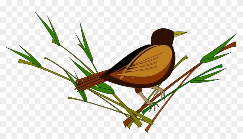 All Photo Png Clipart - All Photo Png Clipart #1517078