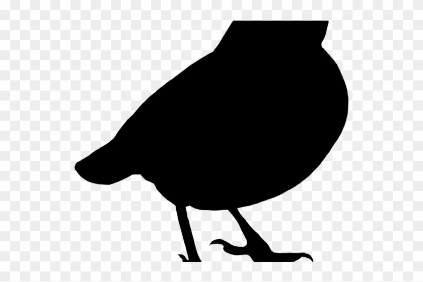 Drawn Sparrow Silhouette - Drawn Sparrow Silhouette #1517107
