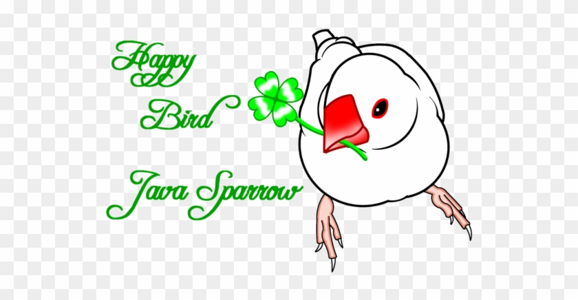 Happy Bird Java Sparrow （白文鳥） - Happy Bird Java Sparrow （白文鳥） #1517119