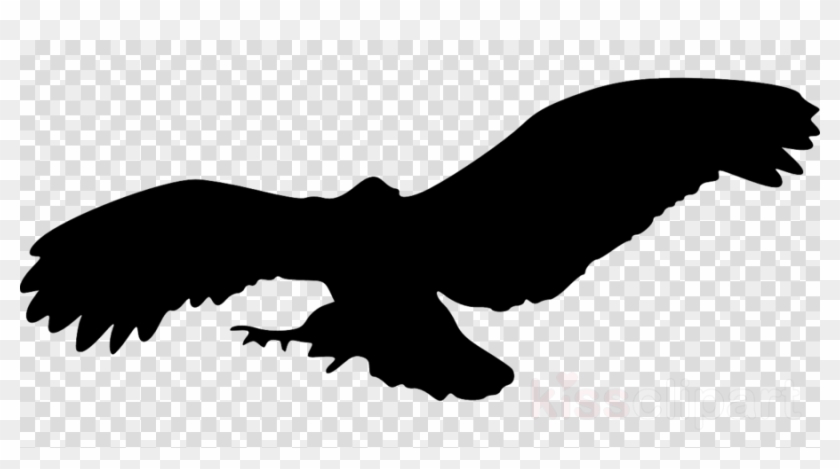 Custom Black Flying Eagle Silhouette Flask Clipart - Custom Black Flying Eagle Silhouette Flask Clipart #1517352
