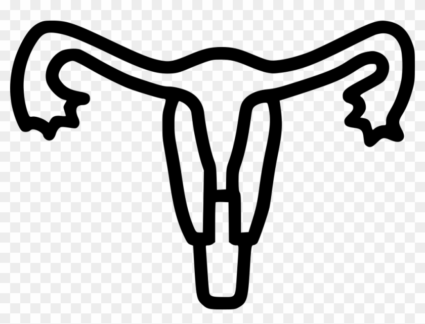 Uterus Human Body Part Medical Tube Uterine Comments - Uterus Human Body Part Medical Tube Uterine Comments #1517849