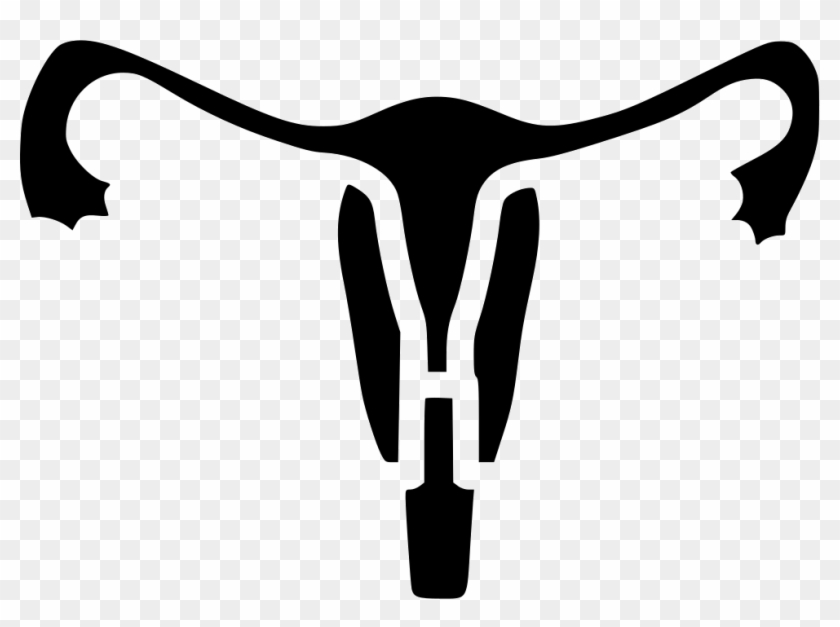 Uterus Human Body Part Medical Tube Uterine Comments - Uterus Human Body Part Medical Tube Uterine Comments #1517855