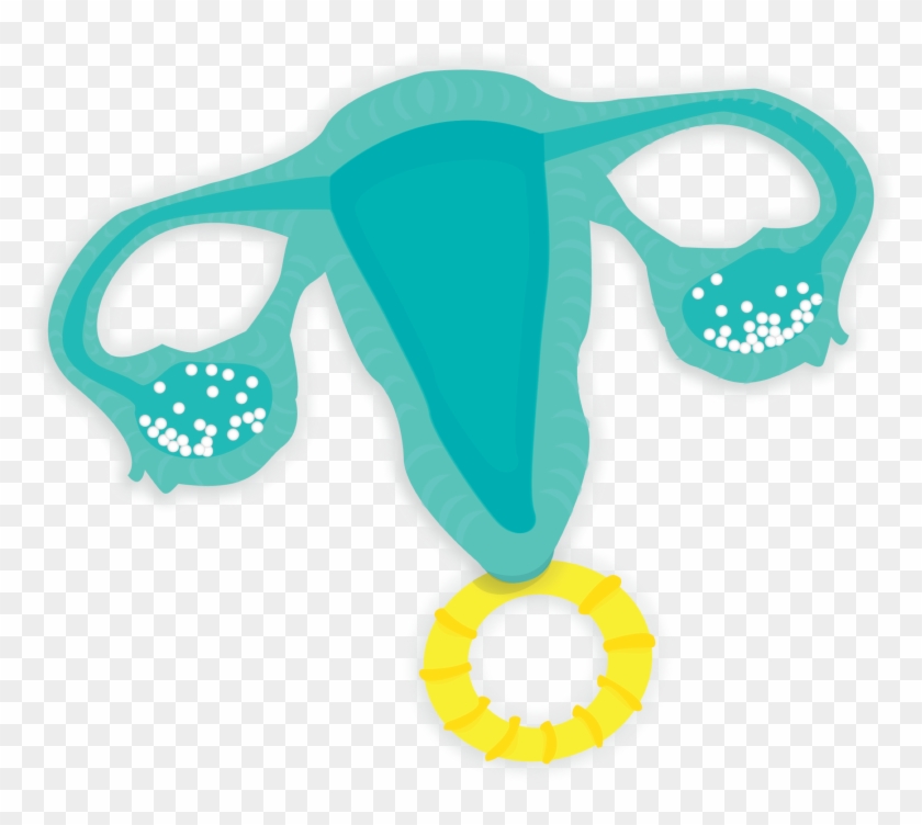 Uterus Rattle - Uterus Rattle #1517889