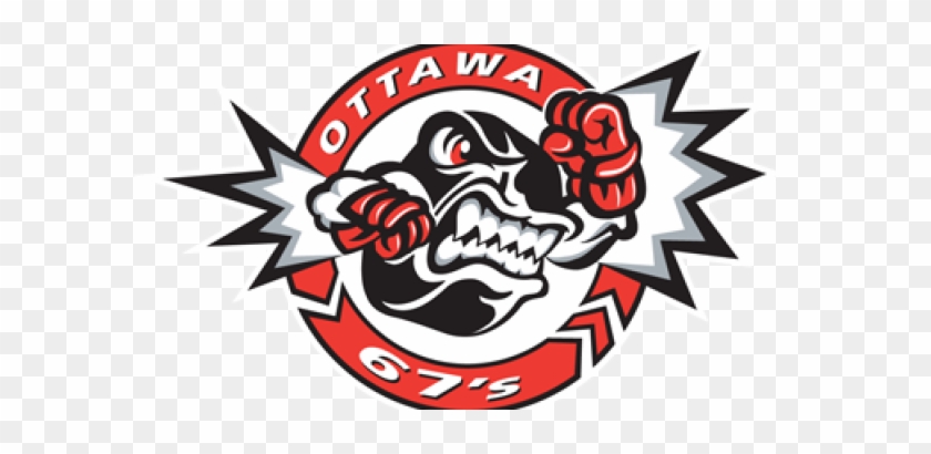 67's Neil Hoch Named Head Athletic Trainer Of Ontario's - 67's Neil Hoch Named Head Athletic Trainer Of Ontario's #1517947