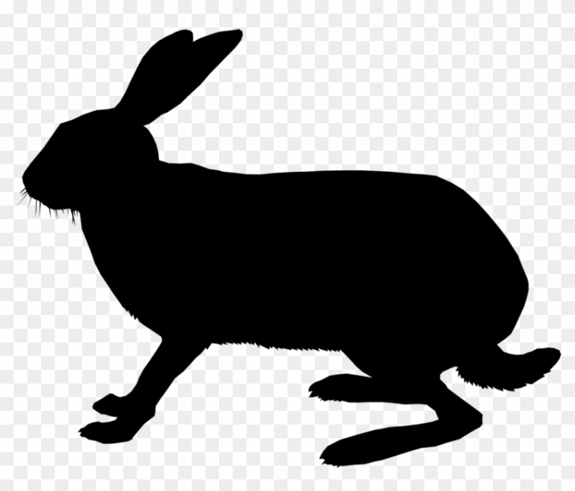 Domestic Rabbit Clipart Domestic Rabbit Hare Whiskers - Domestic Rabbit Clipart Domestic Rabbit Hare Whiskers #1518011