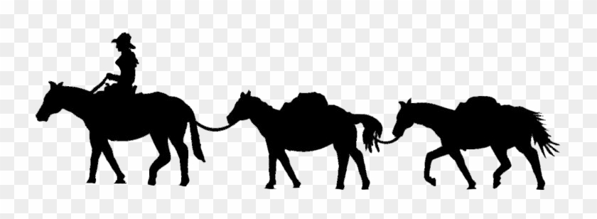 Sam Lewis And Sierra Lady Pack Stations - Sam Lewis And Sierra Lady Pack Stations #1518148