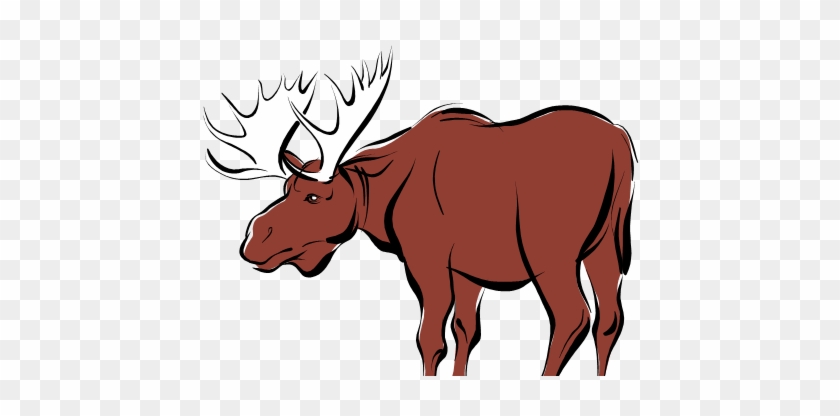 A Moose A Moose - A Moose A Moose #1518814
