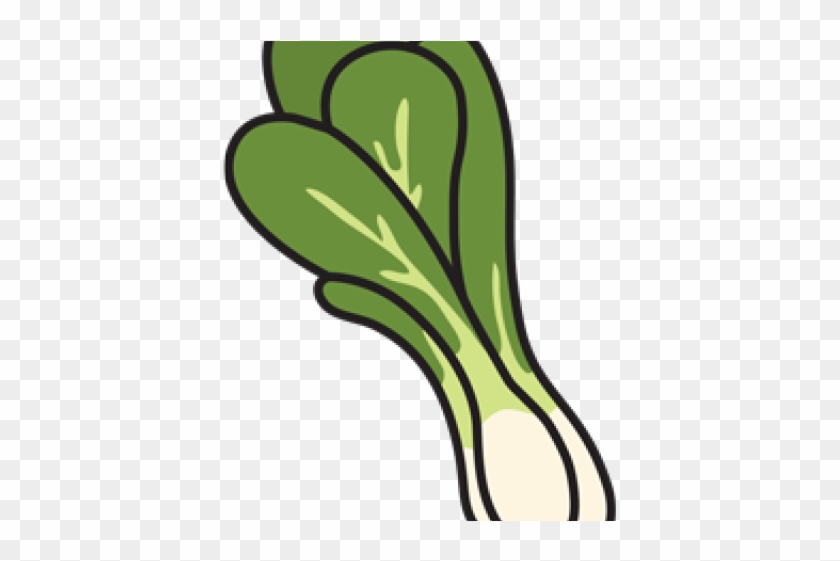 Bok Choy Clipart Transparent - Bok Choy Clipart Transparent #1519088