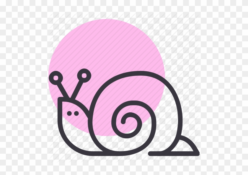 Mollusc Clipart Snail Shell - Mollusc Clipart Snail Shell #1519958