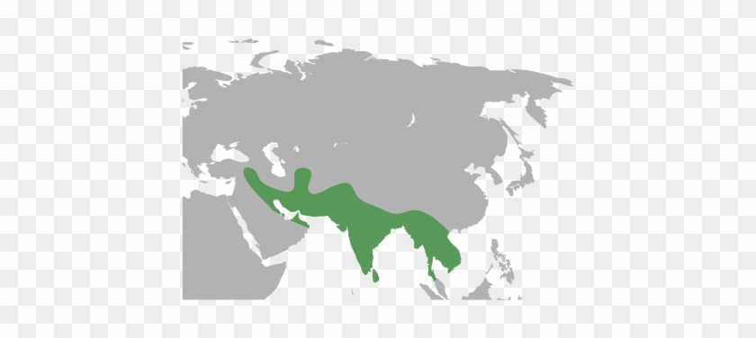 Bounding Distribution Range - Bounding Distribution Range #1520144