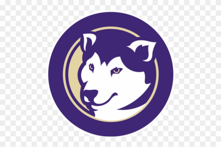 Husky Clipart University Washington - Husky Clipart University Washington #1520404