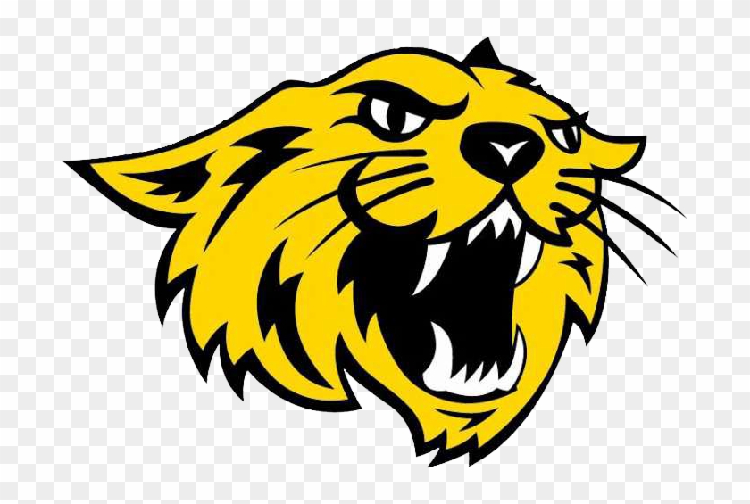 Washington Community School - Washington Community School #1520407