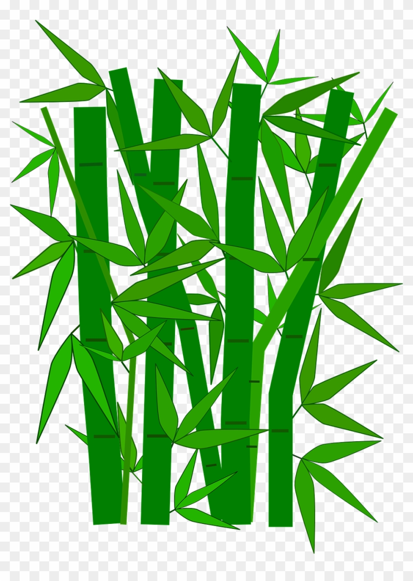 Garden, Bamboo Forest Plant Green Leaves Branches - Garden, Bamboo Forest Plant Green Leaves Branches #1520631