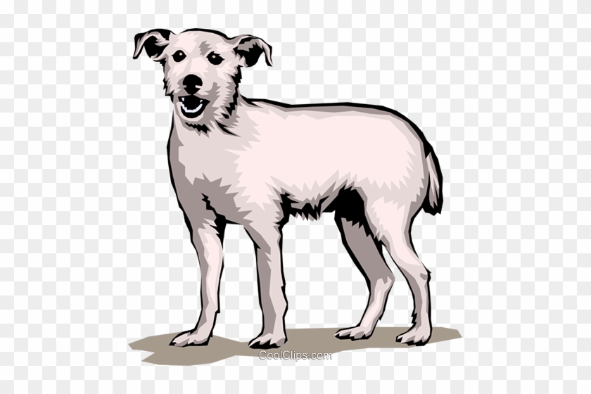 Terrier Dog Royalty Free Vector Clip Art Illustration - Terrier Dog Royalty Free Vector Clip Art Illustration #1521023