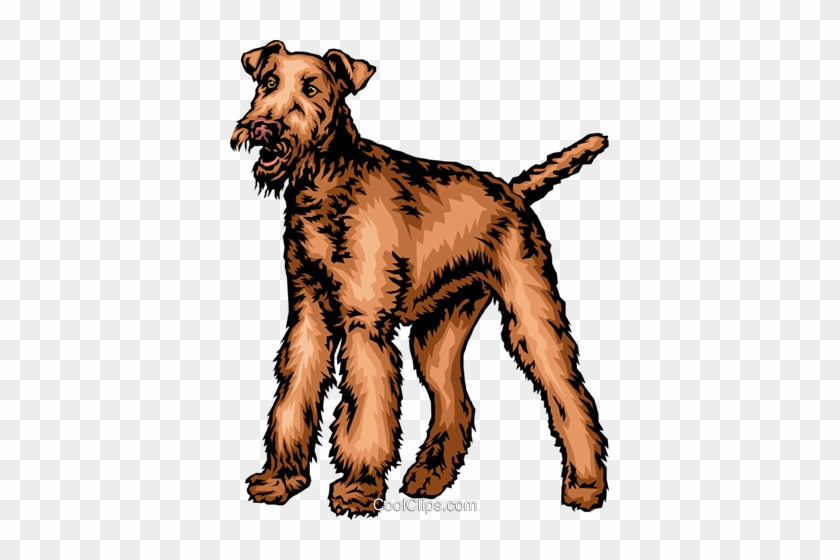Terrier Dog Royalty Free Vector Clip Art Illustration - Terrier Dog Royalty Free Vector Clip Art Illustration #1521039