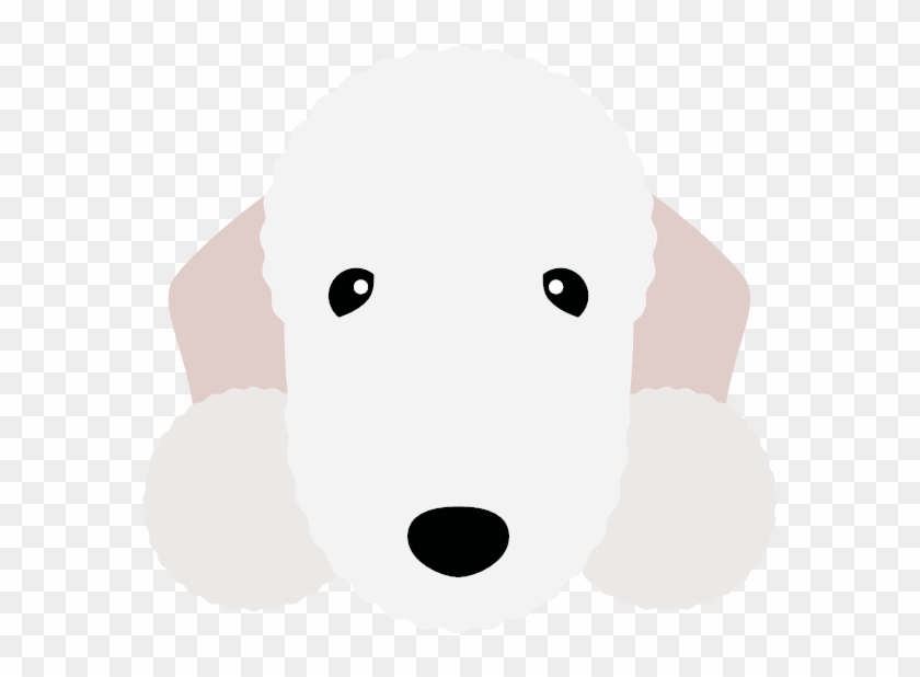 The Bedlington Terrier - The Bedlington Terrier #1521045
