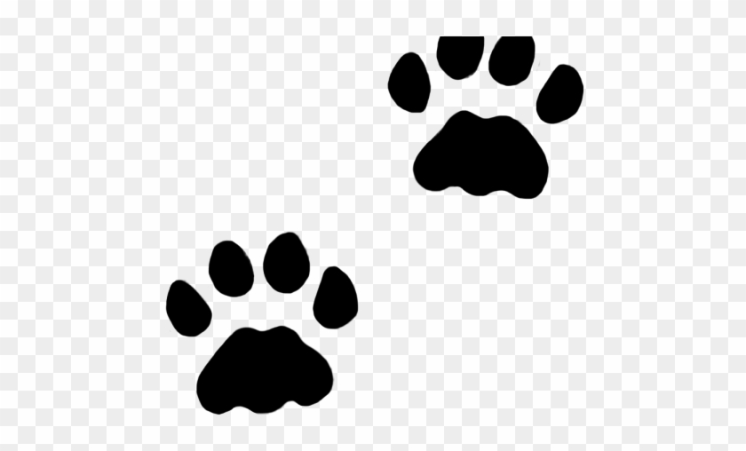 C Clipart Cat - C Clipart Cat #1521049