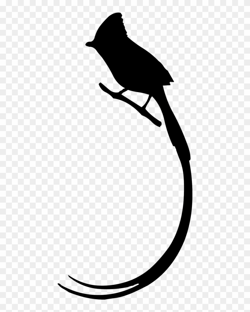 Bird Long Tail Owl Silhouette - Bird Long Tail Owl Silhouette #1521054