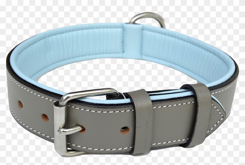 Dog Collar Png Picture Black And White - Dog Collar Png Picture Black And White #1521156