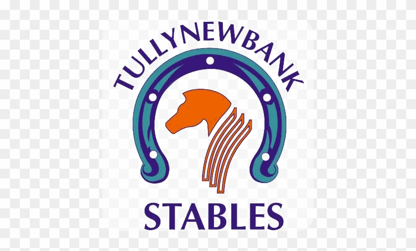 Tullynewbank Stables - Tullynewbank Stables #1521229