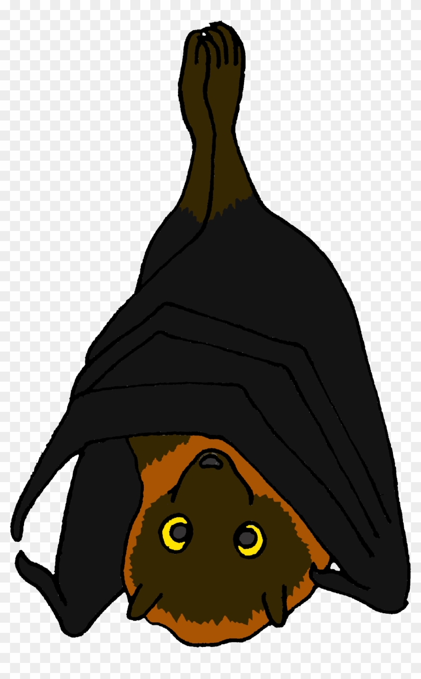Cartoon Rodrigues Fruit Bat - Cartoon Rodrigues Fruit Bat #1521314