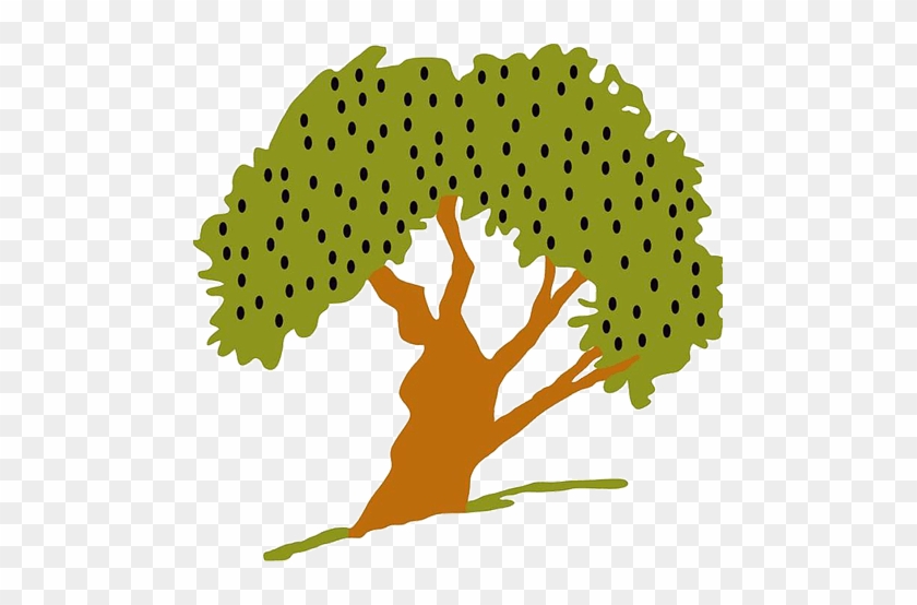 Olive Tree - Olive Tree #1521330