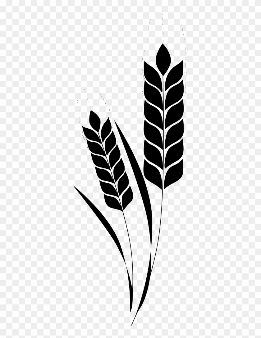 Svg Corn Plant Free Image Icon Silh - Svg Corn Plant Free Image Icon Silh #1521382