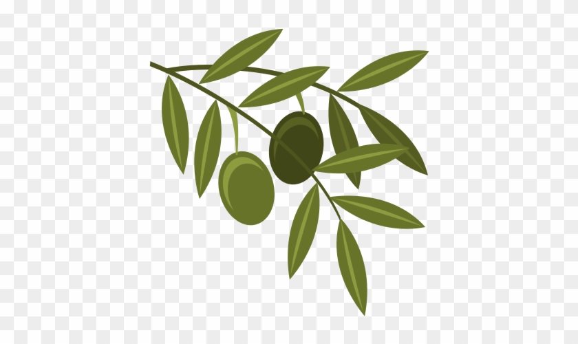 Olive Seeds Plant Icon - Olive Seeds Plant Icon #1521457