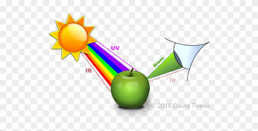 A Healthy Leaf, Or Granny-smith Apple Reflects Green - A Healthy Leaf, Or Granny-smith Apple Reflects Green #1521586