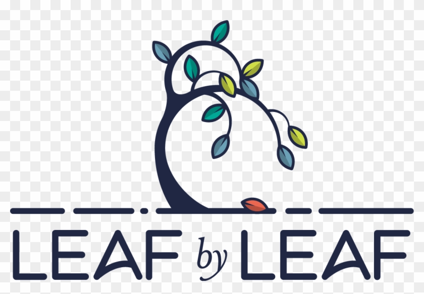 Mr Clipart Ms Foundation - Mr Clipart Ms Foundation #1521594