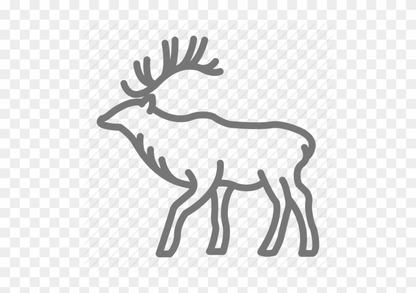 Elk Antlers Png - Elk Antlers Png #1521932