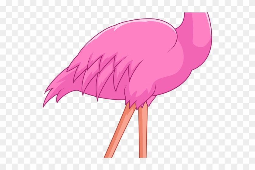 Flamingo Clipart - Flamingo Clipart #1521948