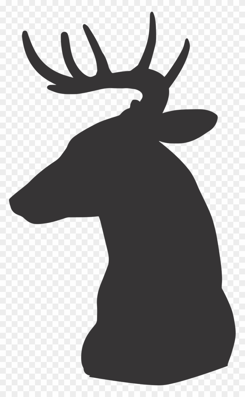 Deer Silhouette Animal Wild Free Photo From - Deer Silhouette Animal Wild Free Photo From #1521963